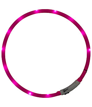 STEEDS LED halsband - 340190--P