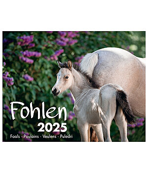 Equino Media Veulen kalender 2024 - 402255