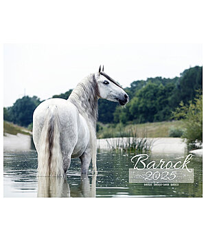 Equino Media Barok kalender 2024 - 402354