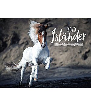 Equino Media IJslander kalender 2024 - 402412