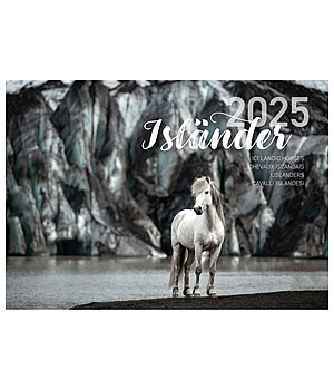 Ponyliebe Fotografie  IJslander kalender 2024  - 402419
