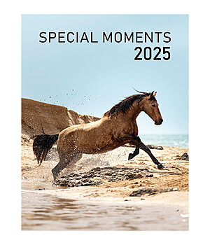 Ponyliebe Fotografie Special Moments Kalender 2024 - 402533