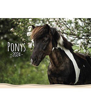 Ponyliebe Fotografie Pony kalender 2024 - 402538