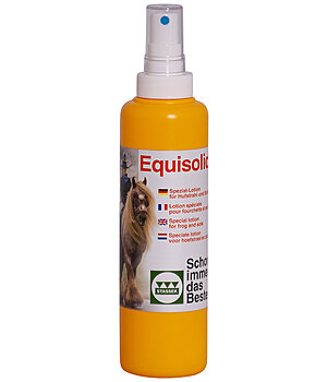 STASSEK Equisolid - 431446