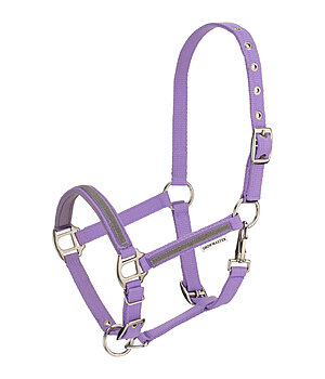 SHOWMASTER veulen en shetty halster Blaire - 440940