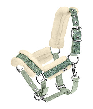 Felix Bhler veulen en shetty halster Shine - 440942-SH-EU