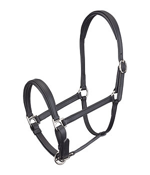 SHOWMASTER veulen en shetty lederen halster Siri - 440944