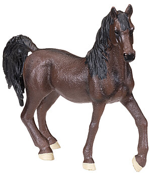 SHOWMASTER Play series Arabier - 622020