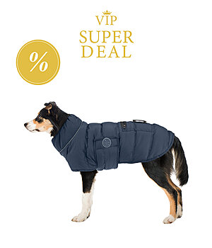 VIP Super Deal sugar dog LED gewatteerd hondenjas Arlo, 300 g - V231203