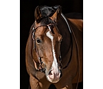 westernhoofdstel met teugels