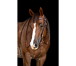 westernhoofdstel met teugels