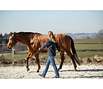 Horsemanship stick professioneel