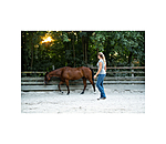 Horsemanship stick professioneel