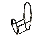 trekking sidepull
