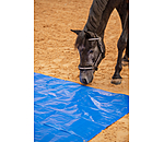 huif voor schriktraining