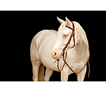 werkhoofdstel Buckle End