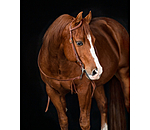 One Ear hoofdstel Buckle End