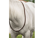 lederen halsring Premium