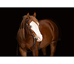 Western hoofdstel Copper