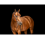 Western hoofdstel Copper