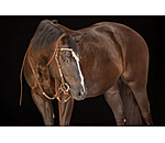 hoofdstel Braided Rawhide