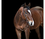 hoofdstel Braided Rawhide