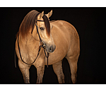 Trainingshoofdstel Harness