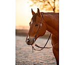 One Ear trainingshoofdstel Harness