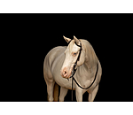 Twee-oor hoofdstel Leaves