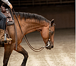 Twee-oor hoofdstel Leaves