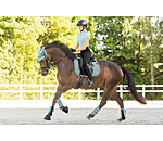 zadeldek Mesh-Technology