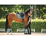 zadeldek Mesh-Technology