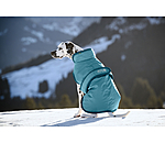 hondenjas Eddie met fleece 200 g