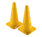 agility pylonen