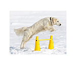 agility pylonen