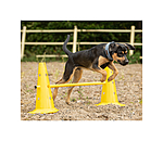 agility pylonen