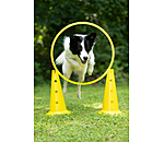 agility pylonen