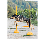 agility stangensteun