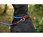 hondenhalsband Coloured Rope