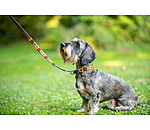 set:  lederen hondenhalsband en -lijn Polo Sports