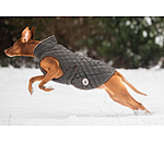 hondendeken Archie met teddyfleece voering, 160 g