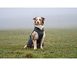 hondendeken Archie met teddyfleece voering, 160 g
