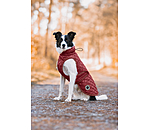 hondendeken Archie met teddyfleece voering, 160 g