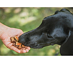 bonte Snack-Mix voor honden