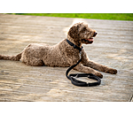 hondenhalsband Becks