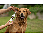 oorreiniger Listen Up