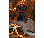 honden Beanie Evin