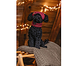 honden Beanie Evin