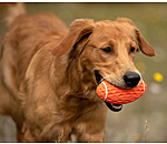 werpspeeltje Football voor honden