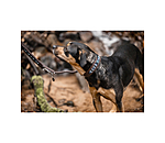 lederen honden halsband Nashville